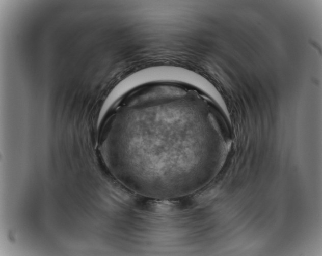 X0000096440229200801311435