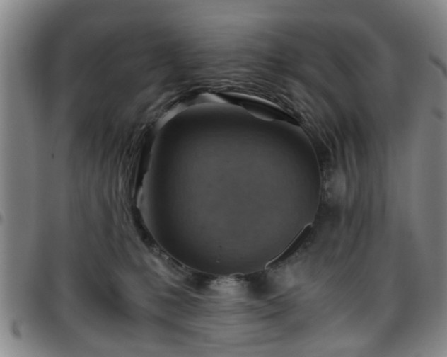 X0000096440231200801311435