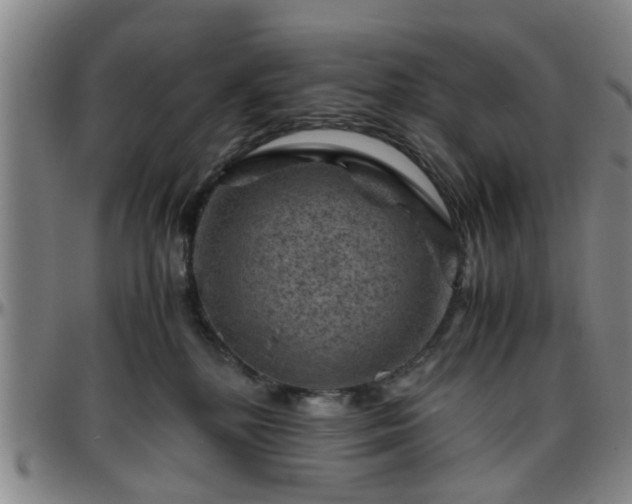 X0000096440232200801311435