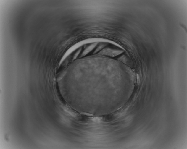 X0000096440233200801311435