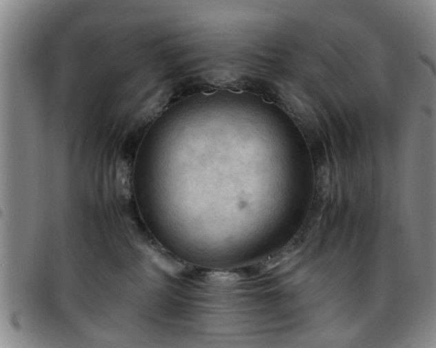 X0000096440234200801311435