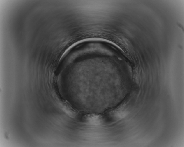 X0000096440235200801311435