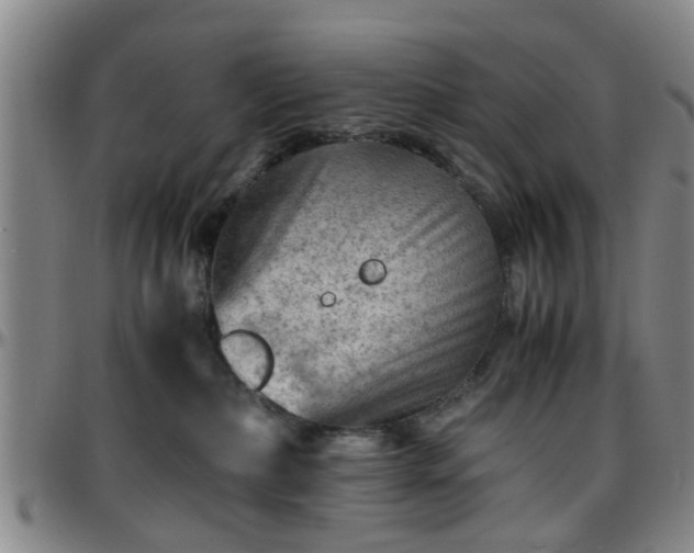 X0000096440236200801311435