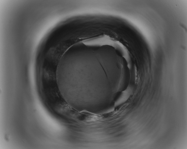 X0000096440239200801311435