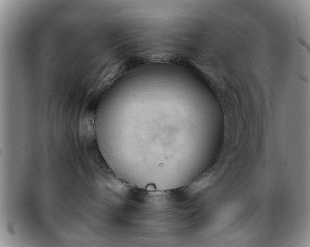 X0000096440240200801311435