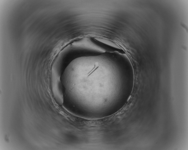 X0000096440241200801311435