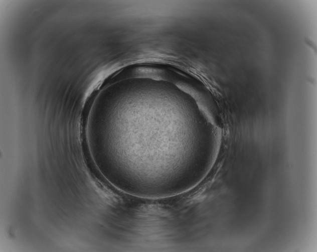 X0000096440244200801311435