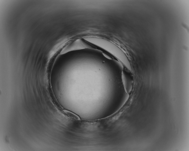 X0000096440245200801311435