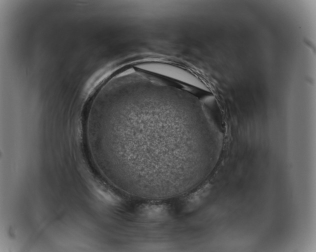 X0000096440247200801311435