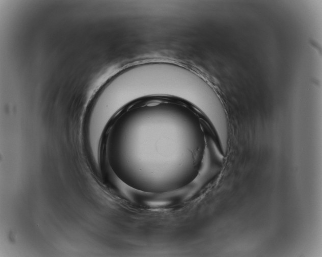 X0000096440248200801311435