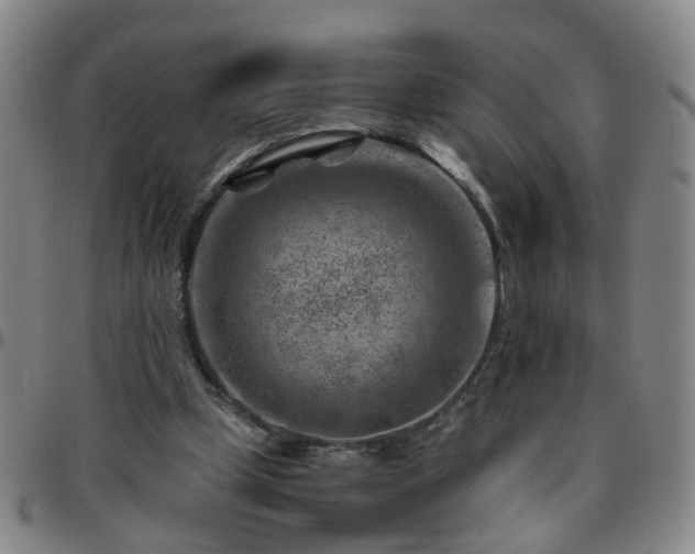 X0000096440249200801311435