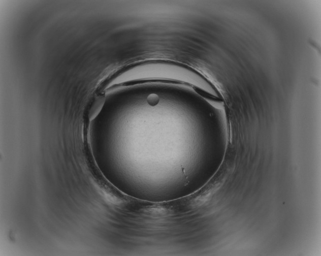 X0000096440253200801311435