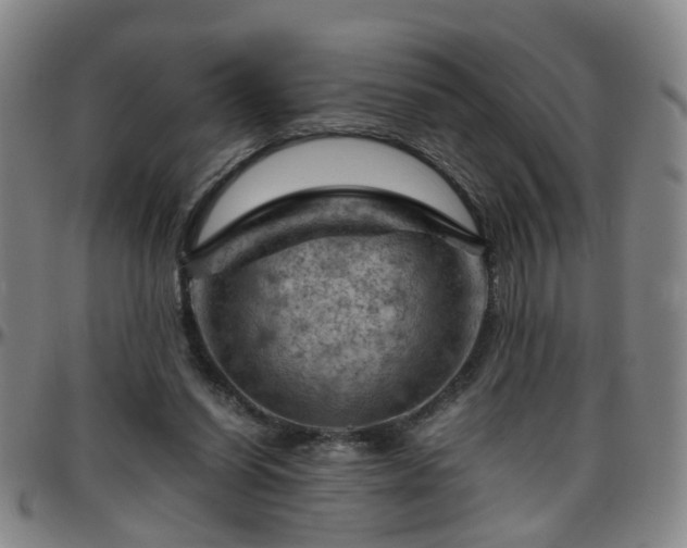 X0000096440254200801311435