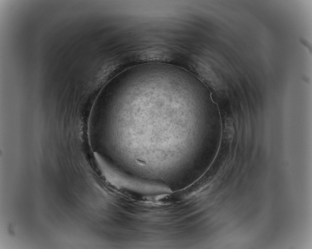 X0000096440255200801311435