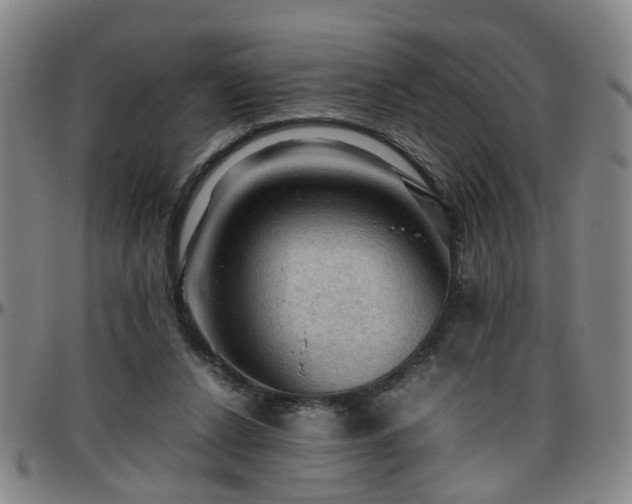 X0000096440256200801311435