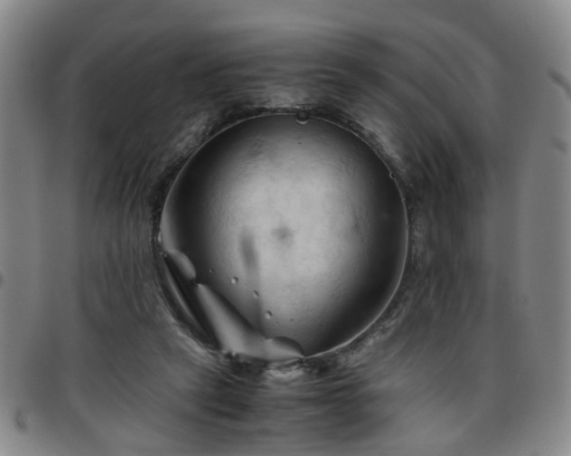 X0000096440257200801311435