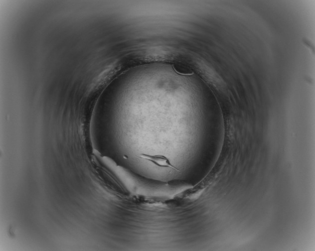 X0000096440258200801311435