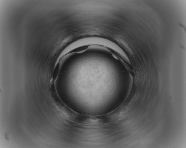 X0000096440260200801311435