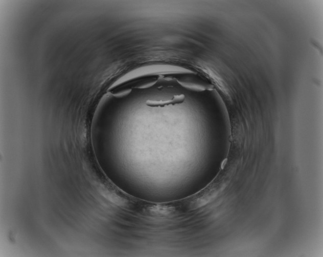 X0000096440261200801311435