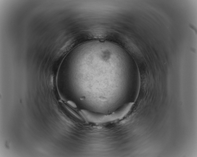 X0000096440262200801311435