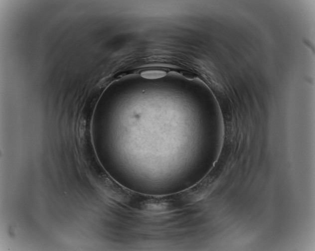 X0000096440263200801311435