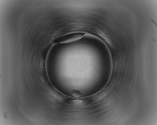 X0000096440265200801311435