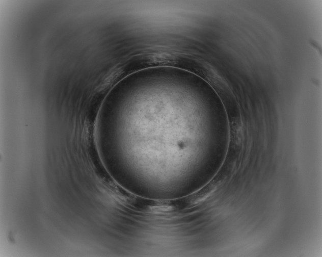 X0000096440266200801311435