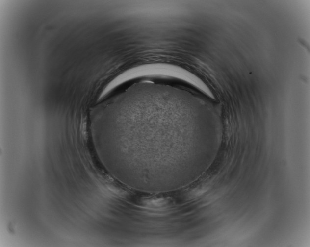 X0000096440267200801311435