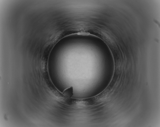 X0000096440268200801311435