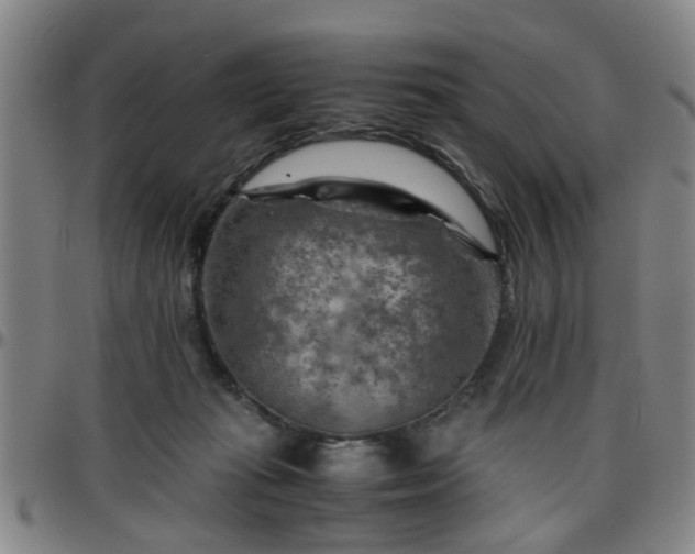 X0000096440269200801311435