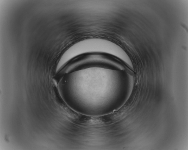 X0000096440270200801311435