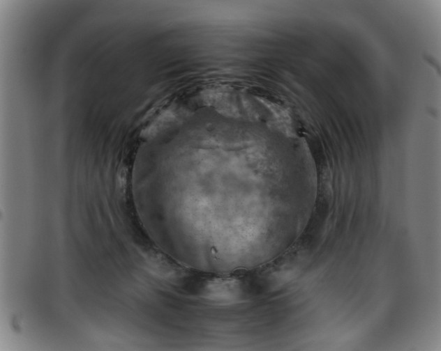 X0000096440271200801311435