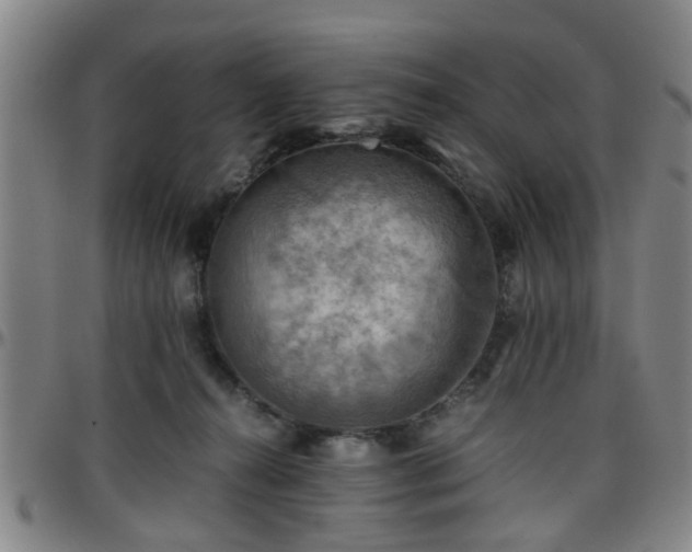 X0000096440272200801311435