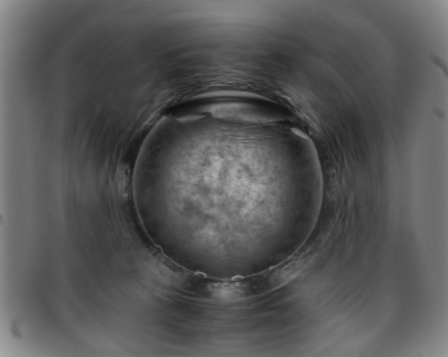 X0000096440273200801311435