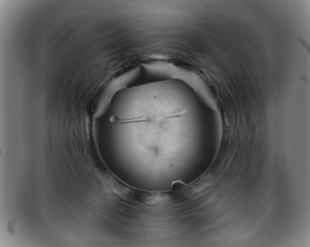 X0000096440274200801311435