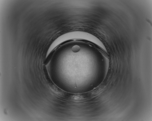 X0000096440275200801311435