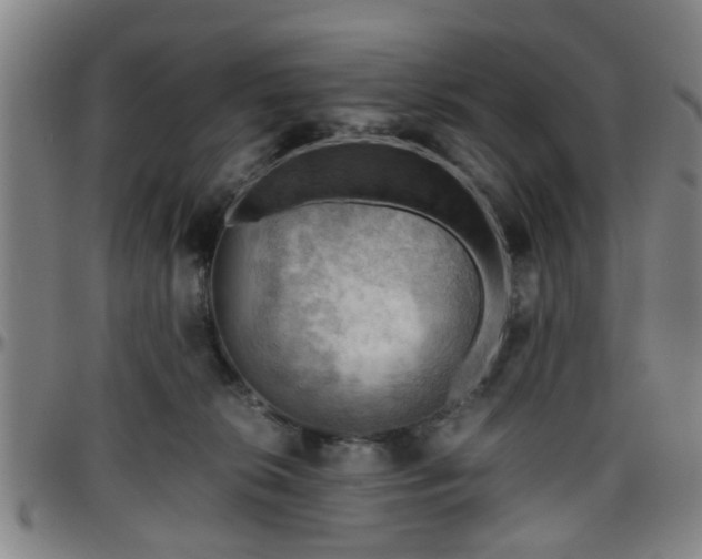 X0000096440276200801311435