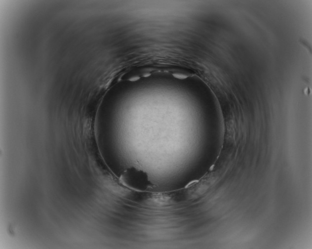 X0000096440278200801311435