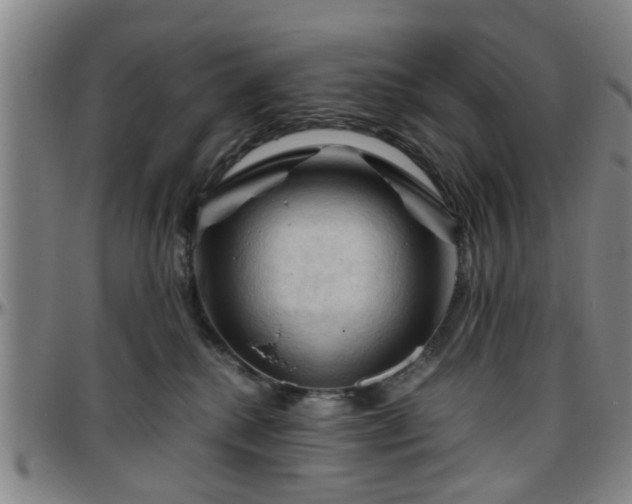 X0000096440280200801311435