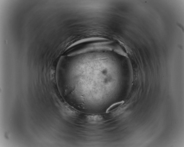 X0000096440281200801311435