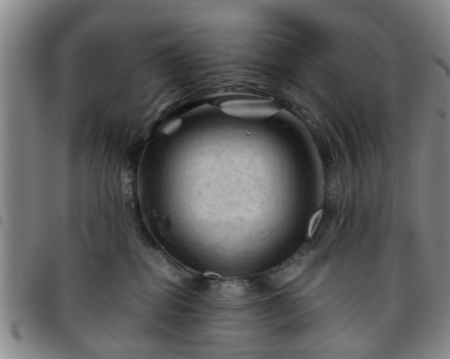 X0000096440282200801311435