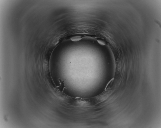 X0000096440283200801311435