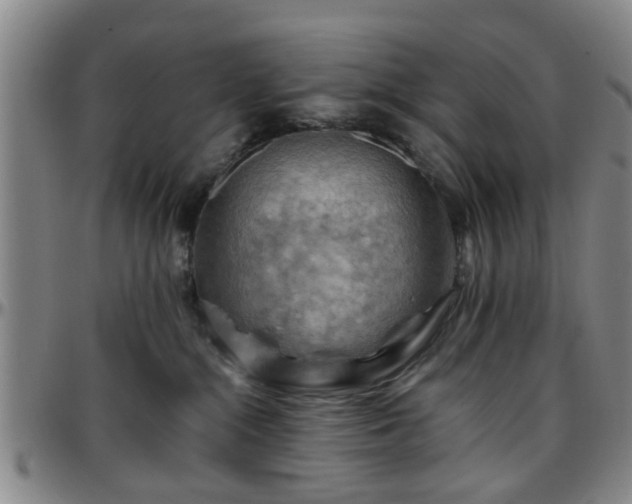 X0000096440284200801311435