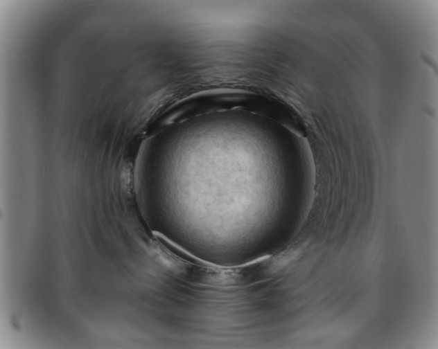 X0000096440288200801311435