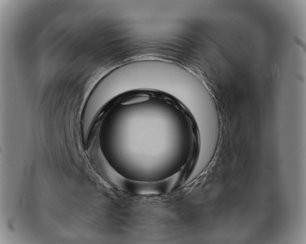 X0000096440289200801311435