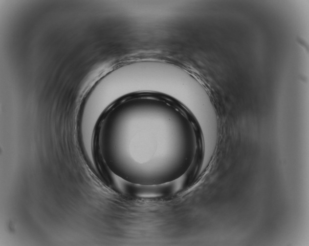 X0000096440293200801311434