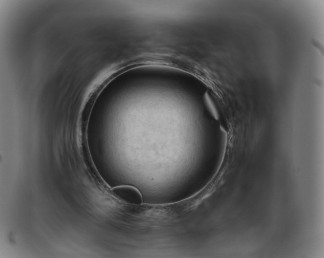 X0000096440294200801311434