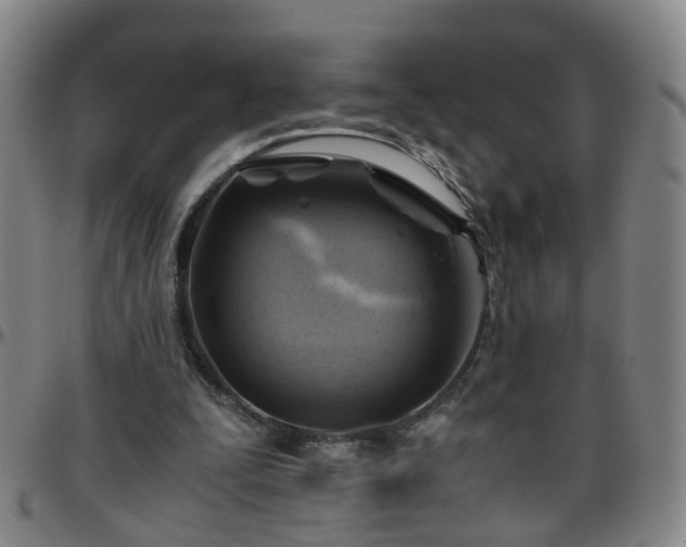 X0000096440295200801311434