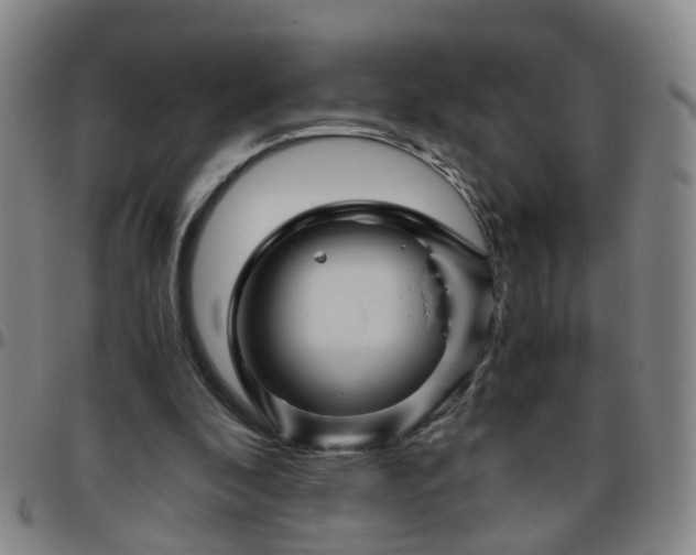 X0000096440296200801311434