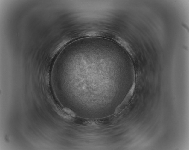 X0000096440297200801311434